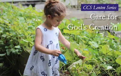 Catholic Social Teaching: Care for God’s Creation