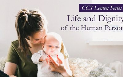 Catholic Social Teaching: Life and Dignity of the Human Person
