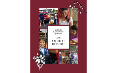 CCS Annual Report 2020