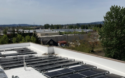 CCS Solar Array Goes Live!