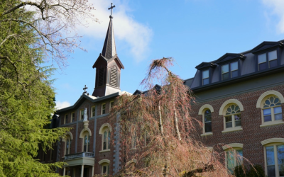 Volunteer at the Monastery